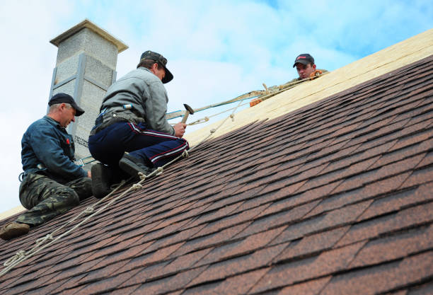 Best Roof Repair Services  in Hamlet, NC