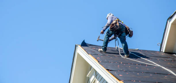 Best Roof Waterproofing Services  in Hamlet, NC
